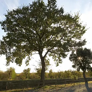 https://agriturismo-lucerna-del-lago-prile.it-tuscanyhotel.com